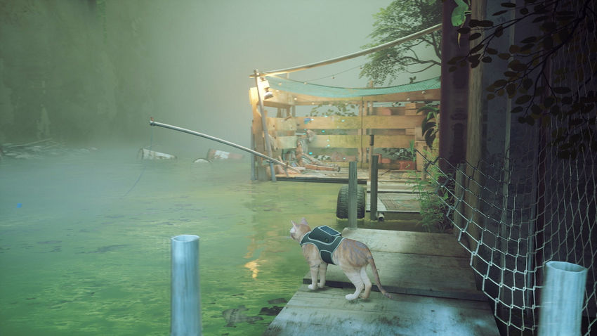 прохождение Stray