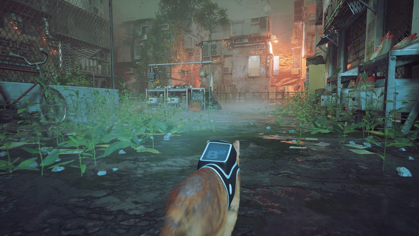 прохождение Stray