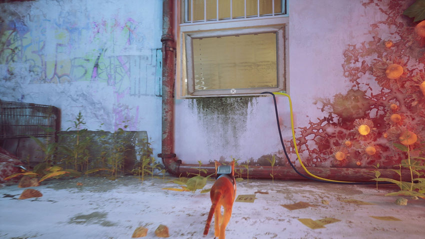 прохождение Stray