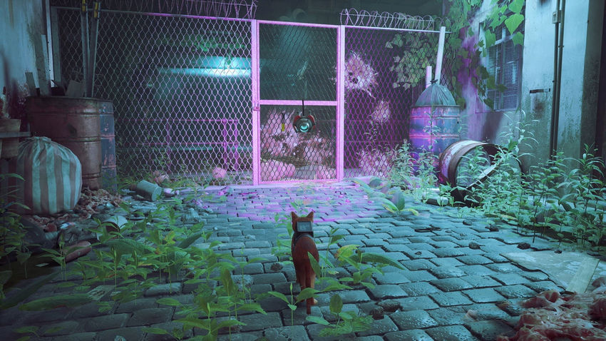 прохождение Stray