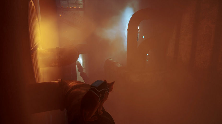 прохождение Stray