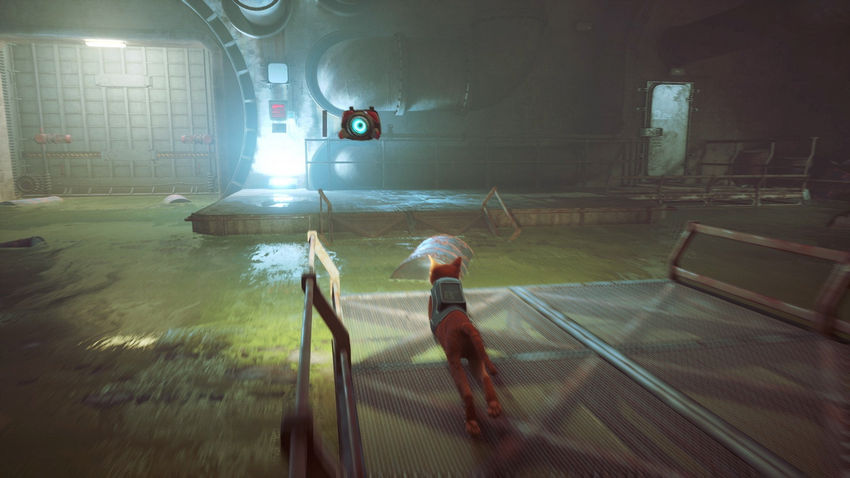 прохождение Stray