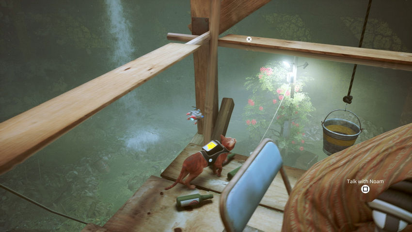 прохождение Stray