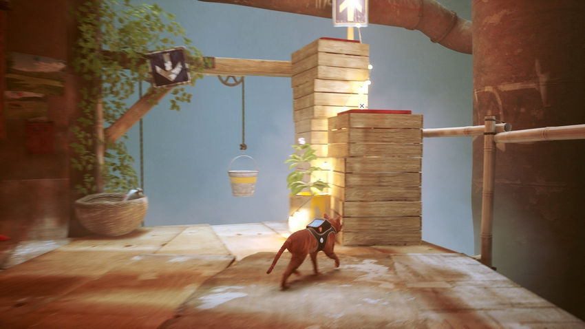 прохождение Stray