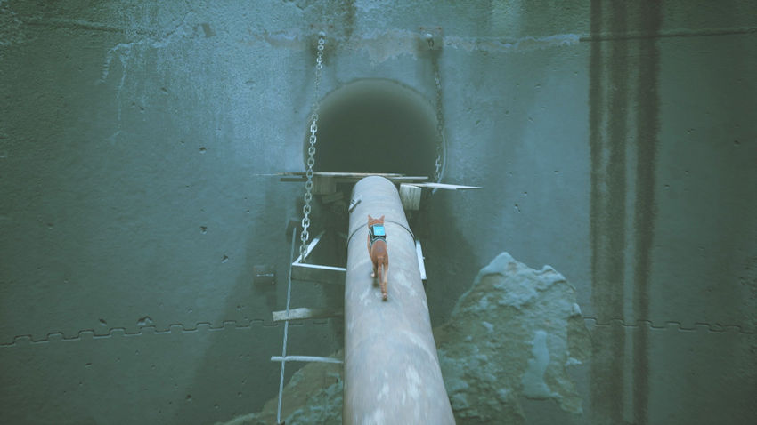 прохождение Stray