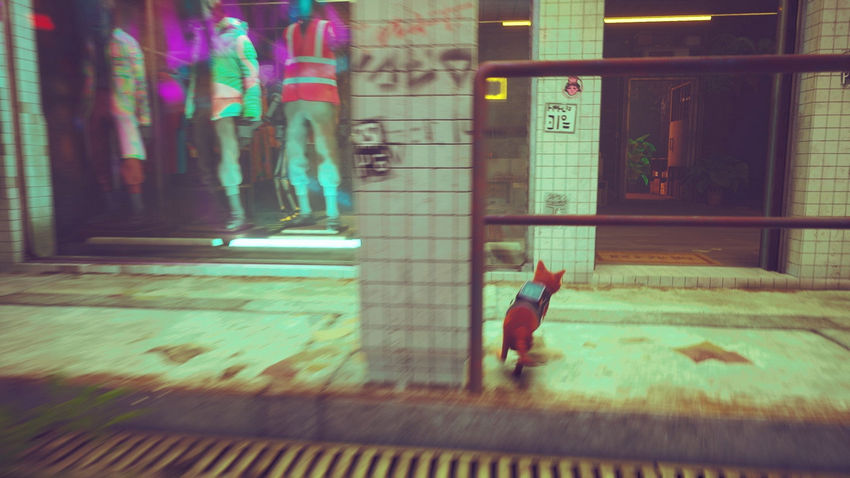 прохождение Stray