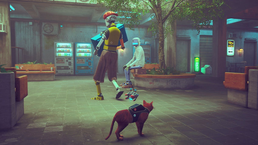 прохождение Stray