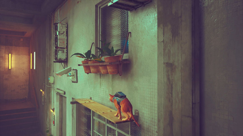 прохождение Stray