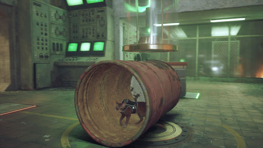 прохождение Stray