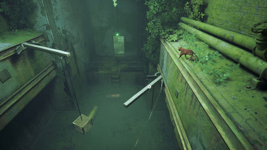 прохождение Stray