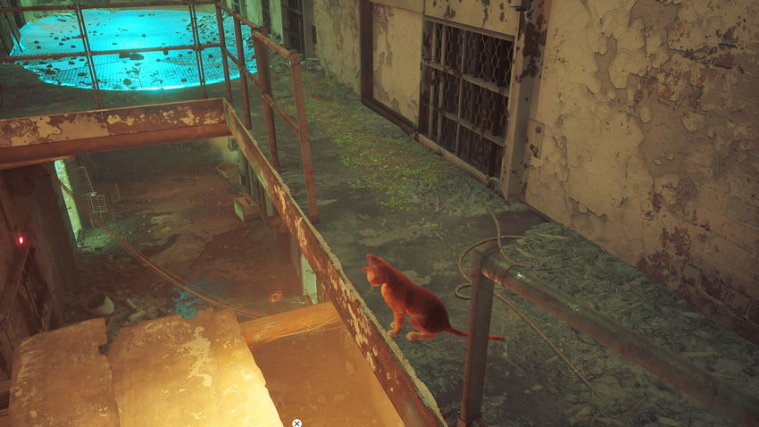 прохождение Stray