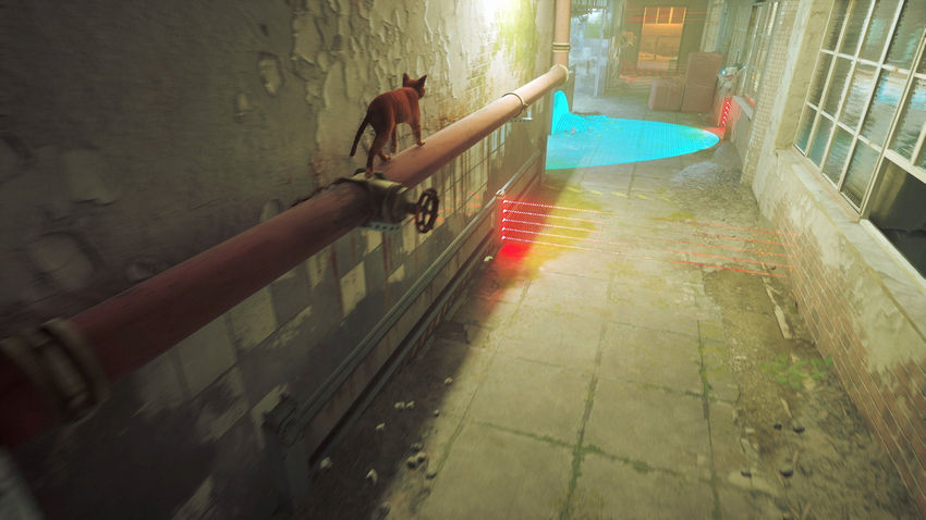 прохождение Stray