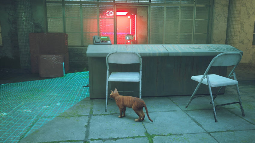 прохождение Stray