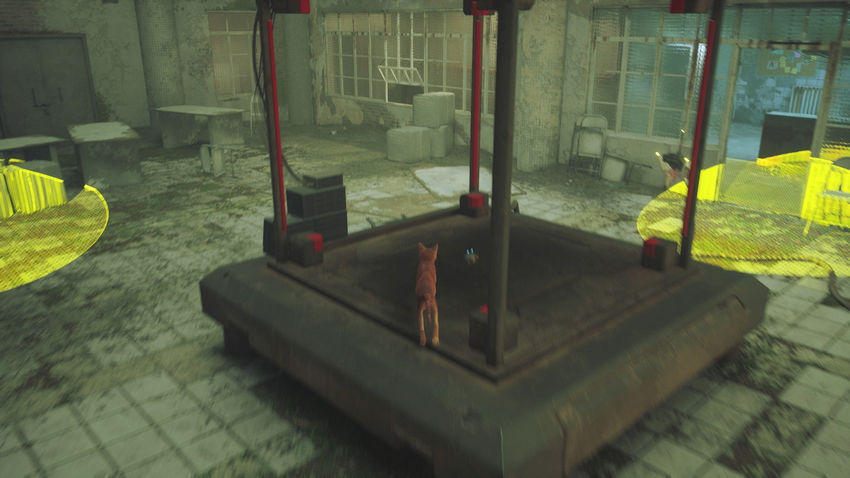 прохождение Stray