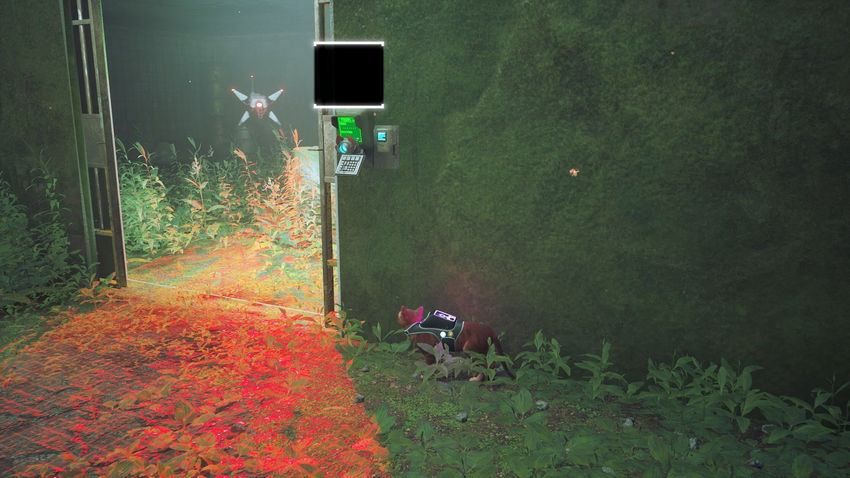 прохождение Stray