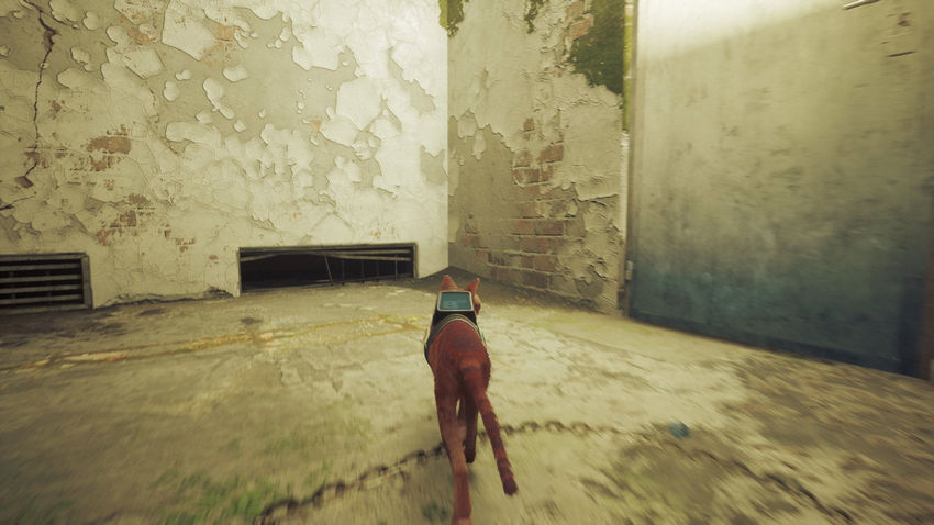 прохождение Stray