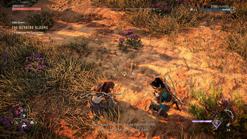 дополнительные миссии Horizon Forbidden West