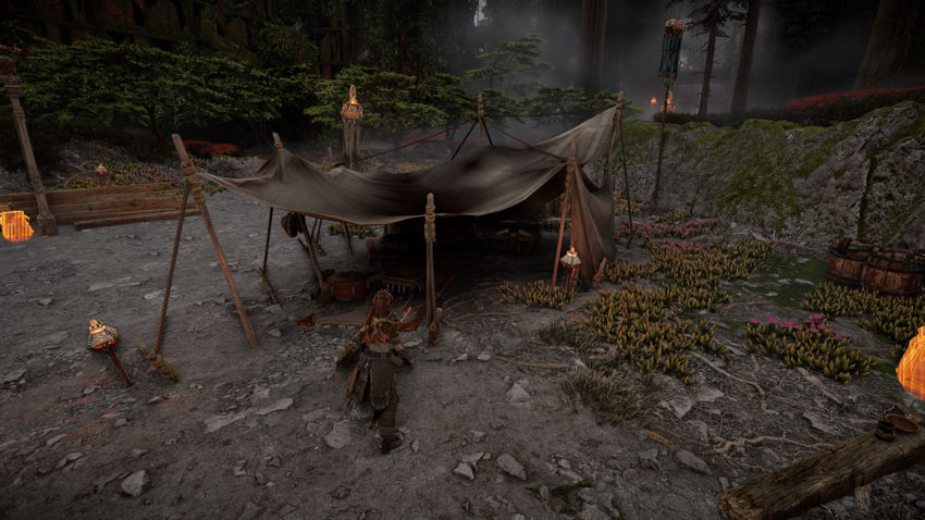 прохождение Horizon Forbidden West