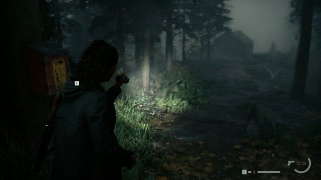 Alan Wake 2. Прохождение