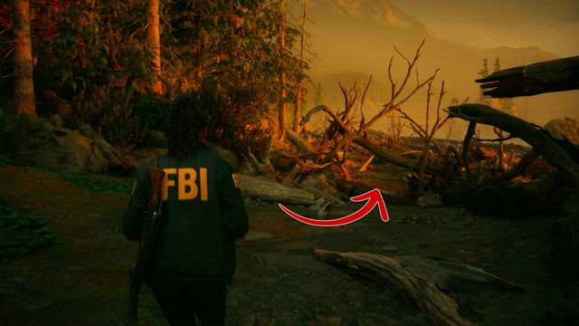 Alan Wake 2. Прохождение