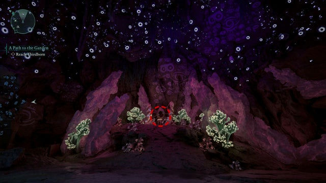 Avowed. Дополнительные задания