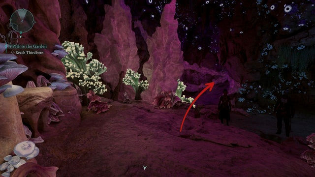 Avowed. Дополнительные задания