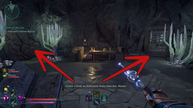 Avowed. Дополнительные задания