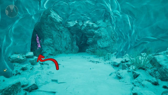 Avowed. Прохождение