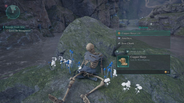 Avowed. Прохождение