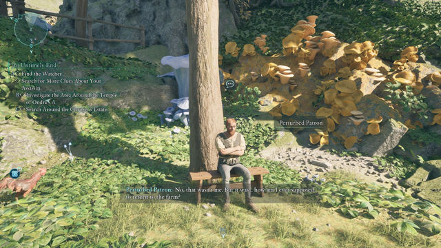 Avowed. Прохождение