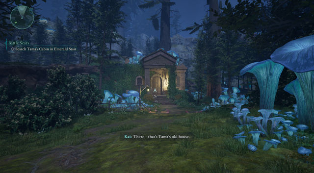 Avowed. Дополнительные задания