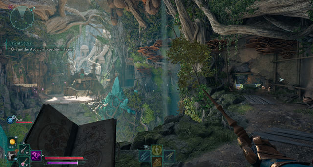 Avowed. Дополнительные задания