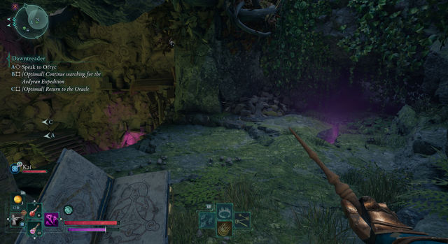 Avowed. Дополнительные задания