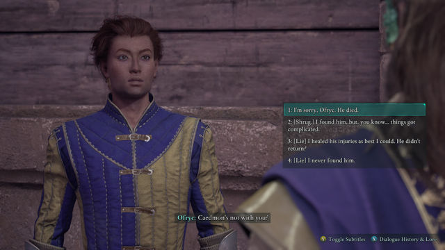 Avowed. Дополнительные задания