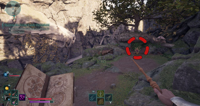 Avowed. Дополнительные задания