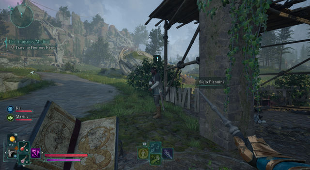 Avowed. Дополнительные задания