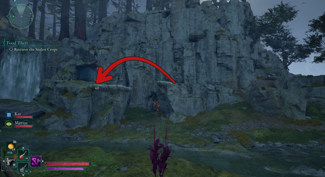 Avowed. Дополнительные задания