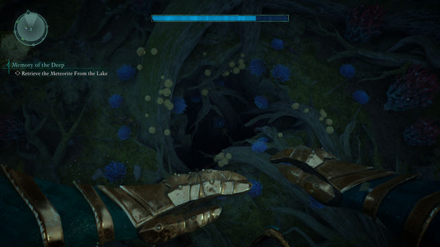 Avowed. Дополнительные задания