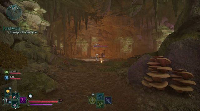 Avowed. Дополнительные задания