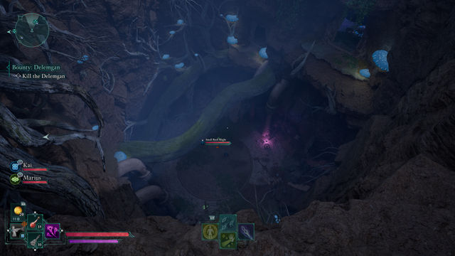 Avowed. Дополнительные задания