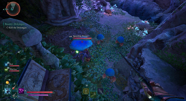 Avowed. Дополнительные задания