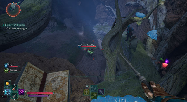 Avowed. Дополнительные задания