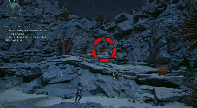 Avowed. Дополнительные задания