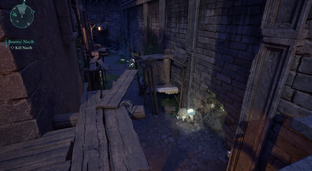 Avowed. Дополнительные задания