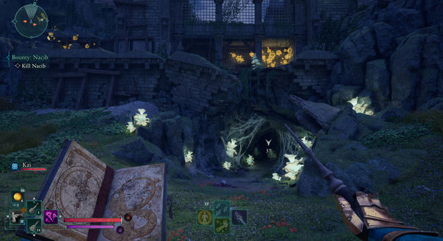 Avowed. Дополнительные задания