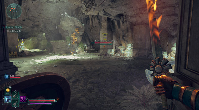 Avowed. Дополнительные задания