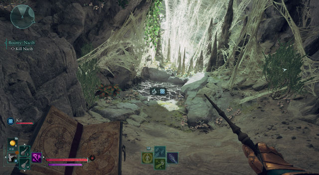 Avowed. Дополнительные задания