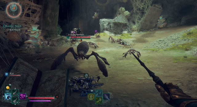 Avowed. Дополнительные задания