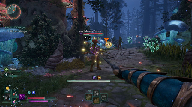 Avowed. Дополнительные задания