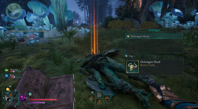 Avowed. Дополнительные задания